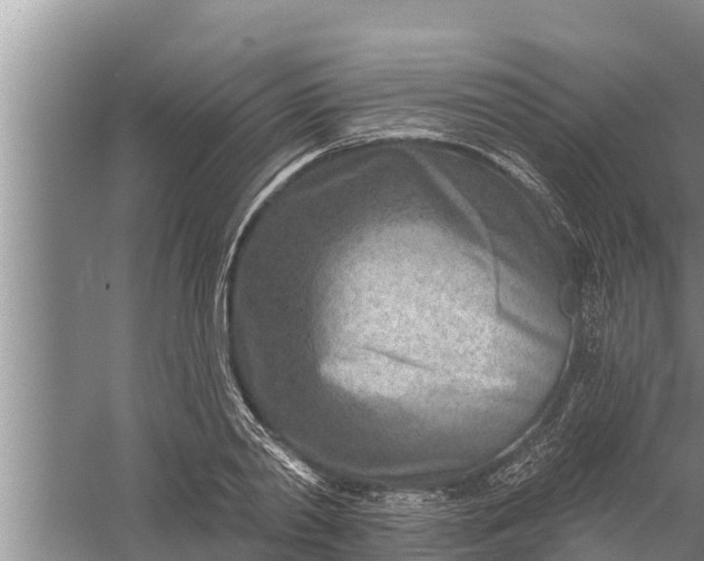 X0000058120790200510071938