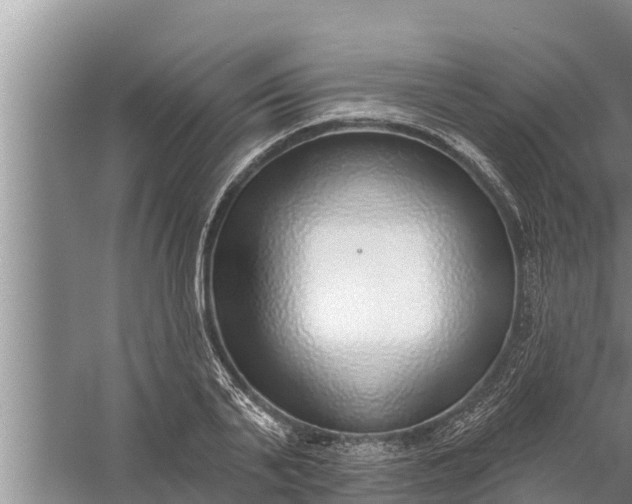 X0000058120791200510071938