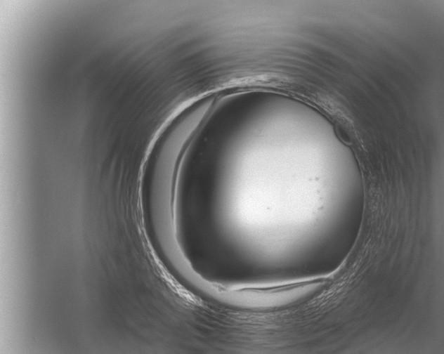 X0000058120792200510071938