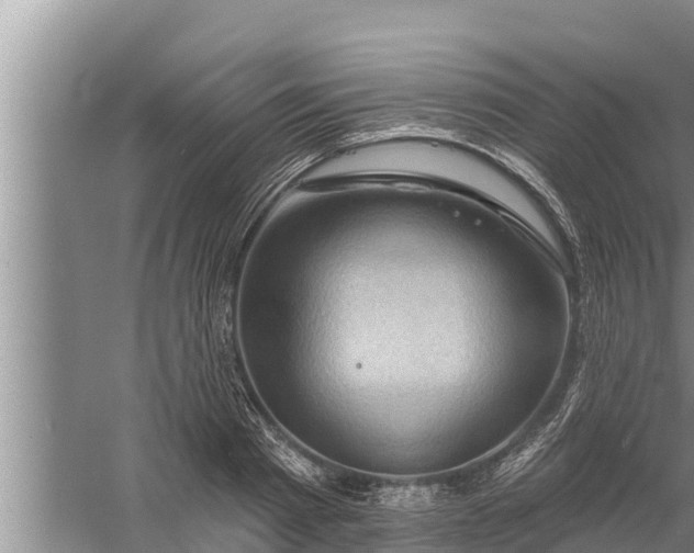 X0000058120793200510071938