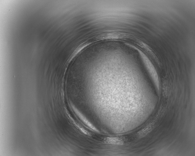 X0000058120794200510071938