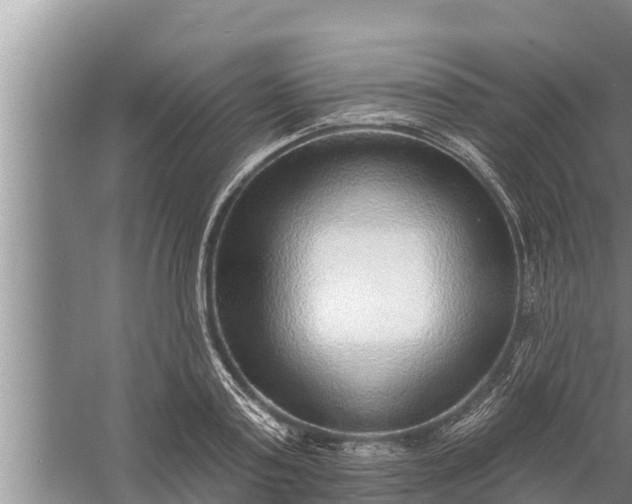 X0000058120795200510071938