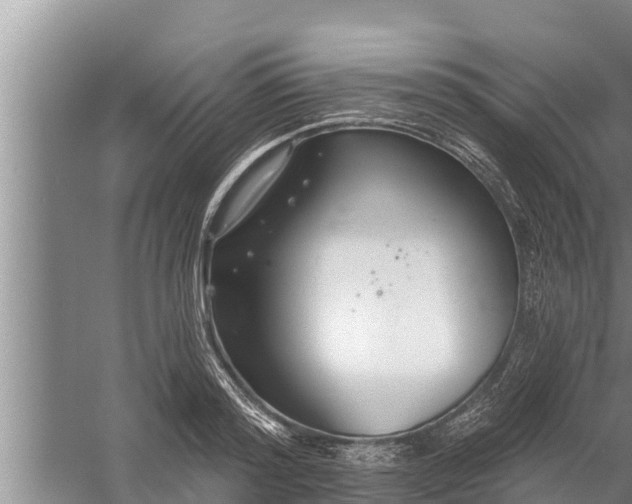 X0000058120796200510071938