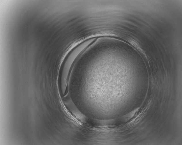 X0000058120797200510071938