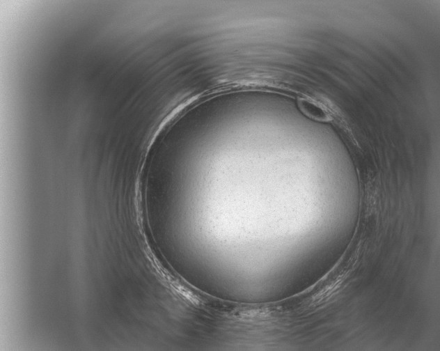 X0000058120798200510071938