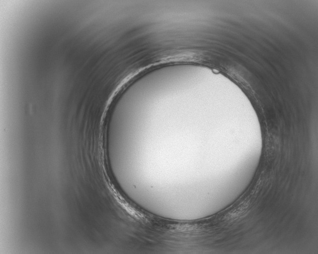 X0000058120800200510071938