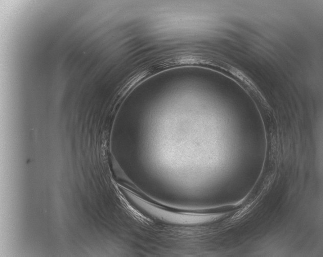 X0000058120801200510071938