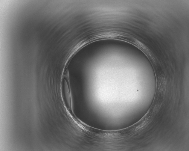 X0000058120802200510071938