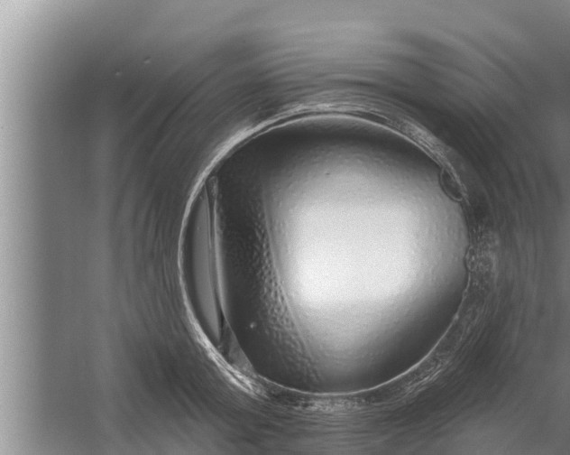 X0000058120803200510071938