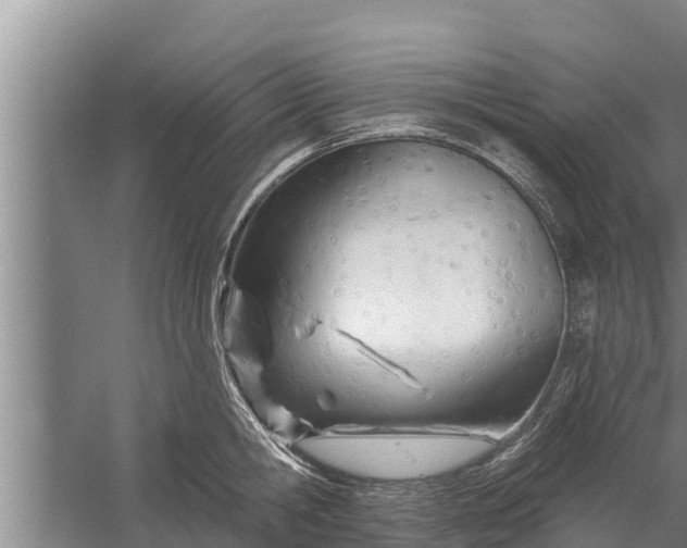 X0000058120806200510071938