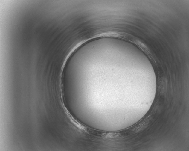 X0000058120808200510071938