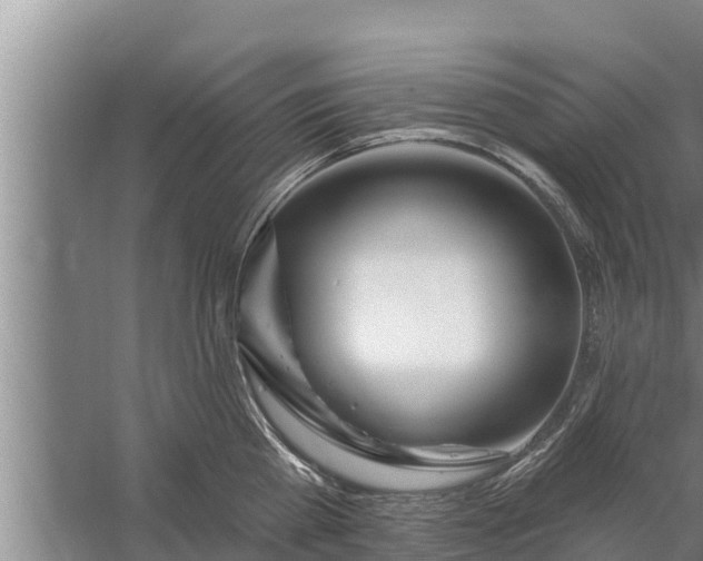 X0000058120809200510071937