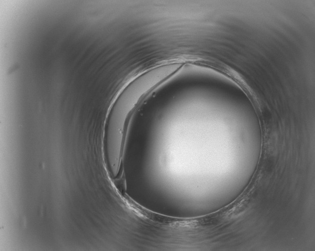 X0000058120810200510071937