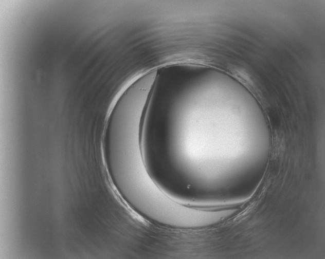 X0000058120812200510071937