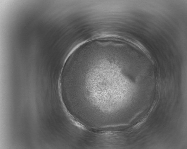 X0000058120814200510071937