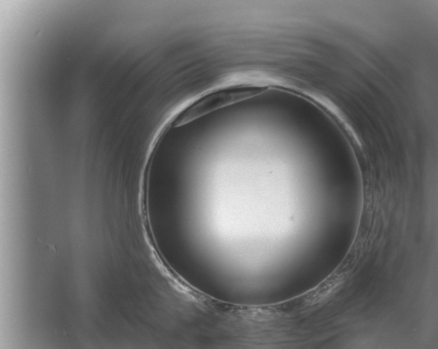 X0000058120815200510071937