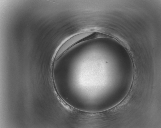 X0000058120816200510071937