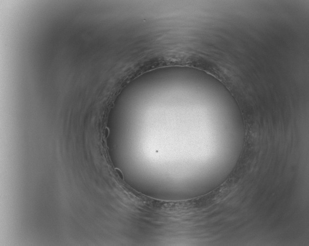 X0000058120817200510071937