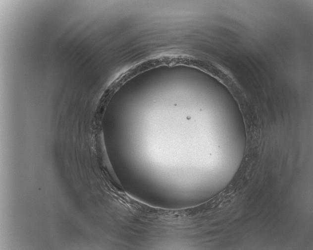 X0000058120823200510071937