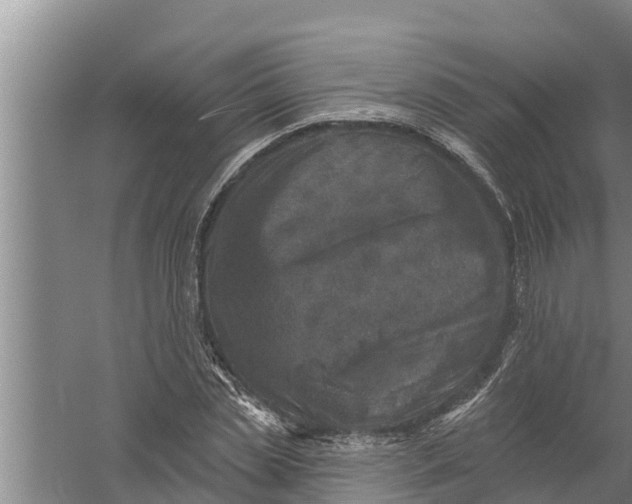 X0000058120829200510071937