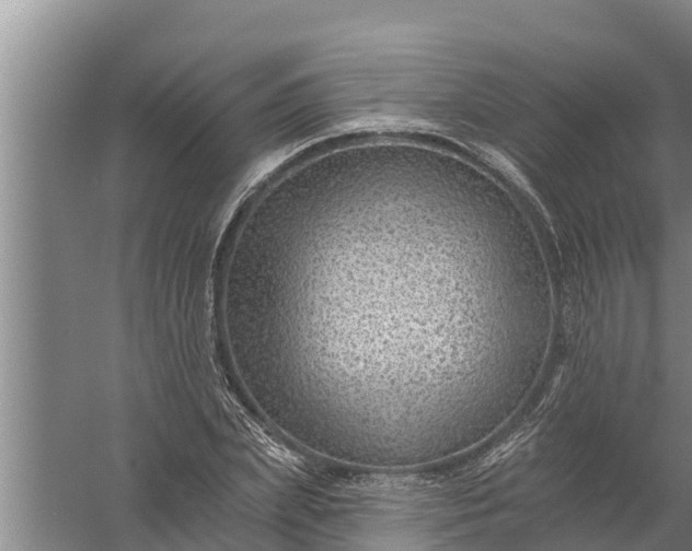 X0000058120831200510071937