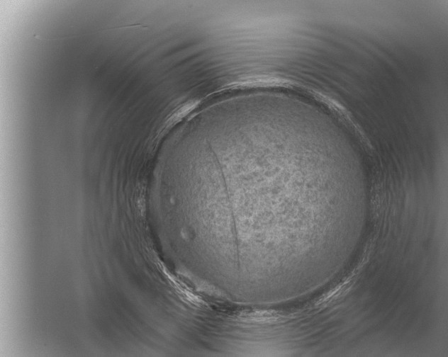 X0000058120833200510071937