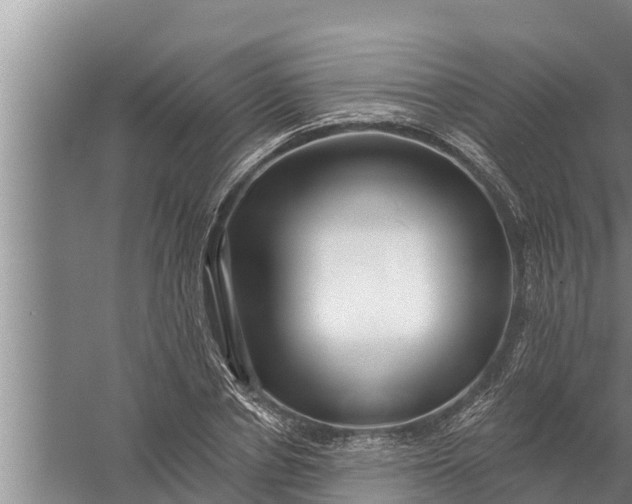 X0000058120834200510071937