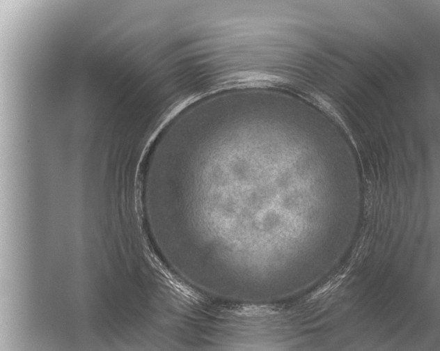 X0000058120835200510071937