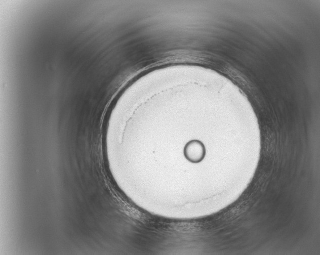 X0000058120836200510071937