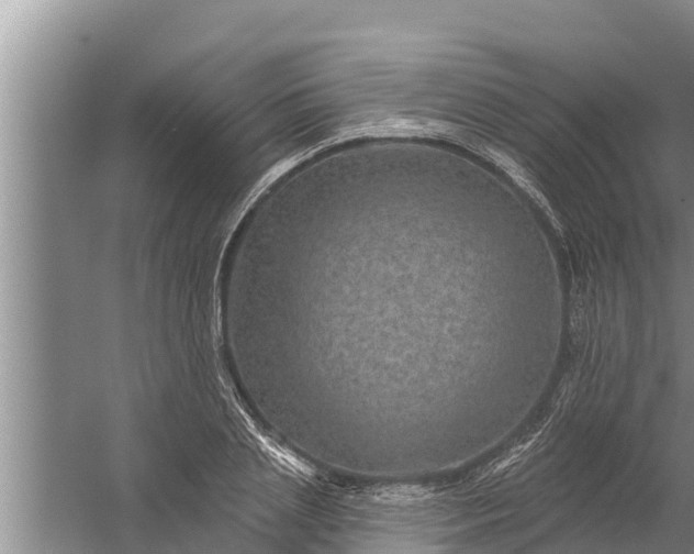 X0000058120837200510071937