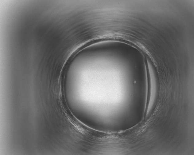 X0000058120838200510071937