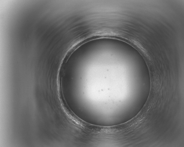 X0000058120840200510071937