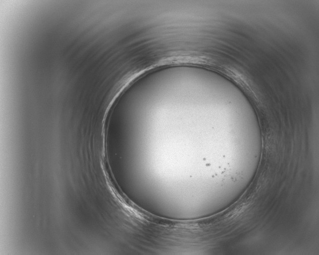 X0000058120844200510071937