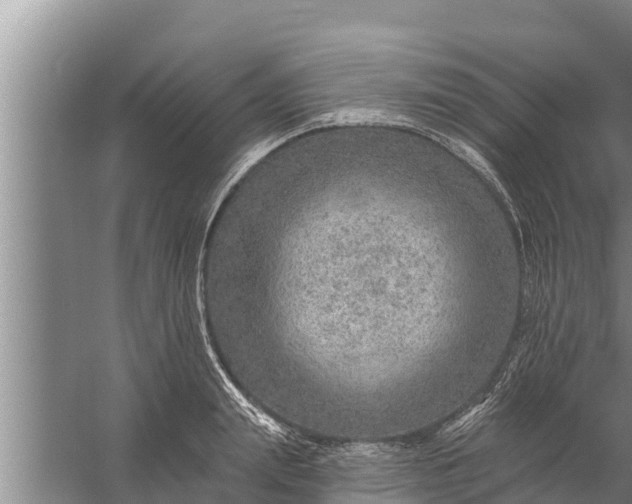 X0000058120847200510071937