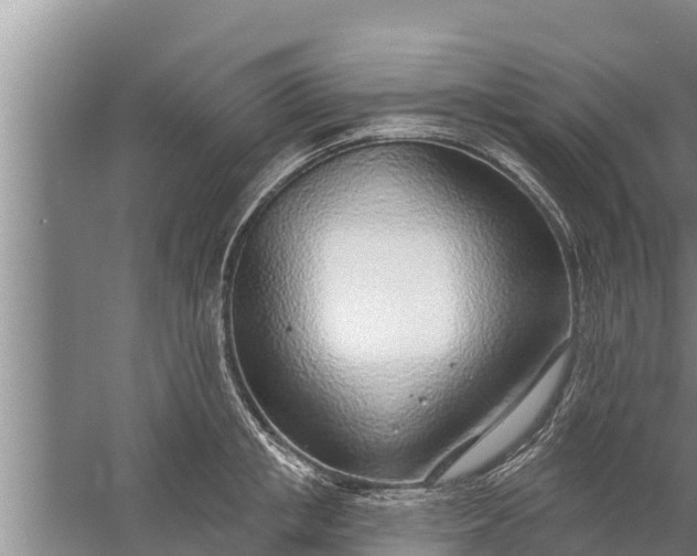 X0000058120853200510071937