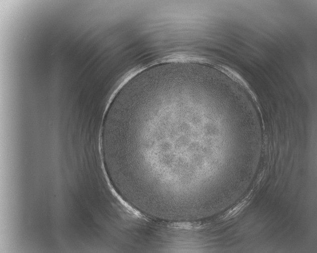 X0000058120855200510071937