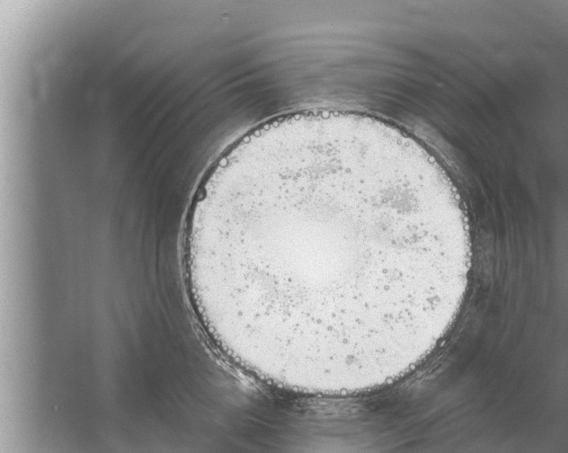 X0000058120856200510071937