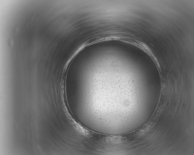 X0000058120859200510071937