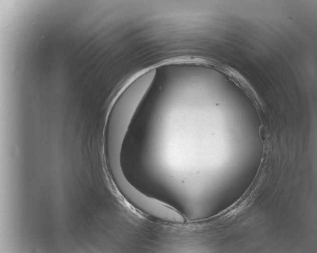 X0000058120860200510071937