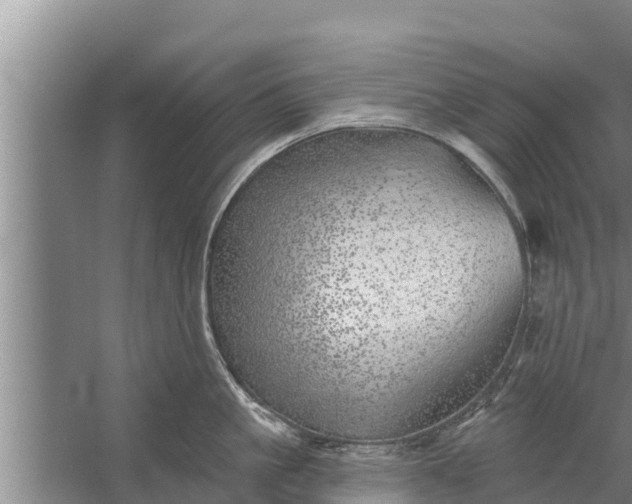 X0000058120861200510071937