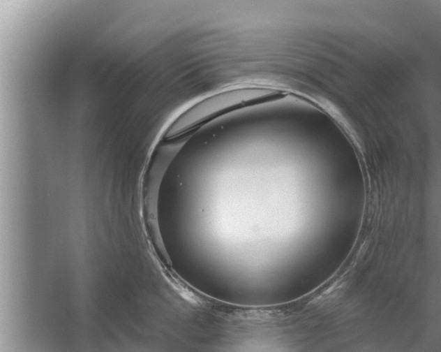 X0000058120862200510071937