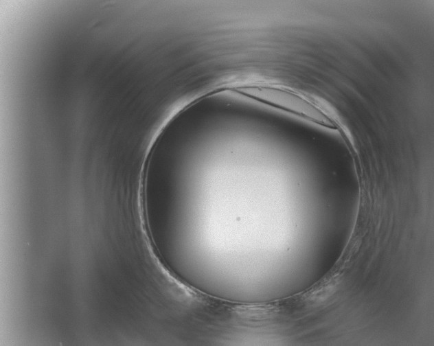 X0000058120863200510071937