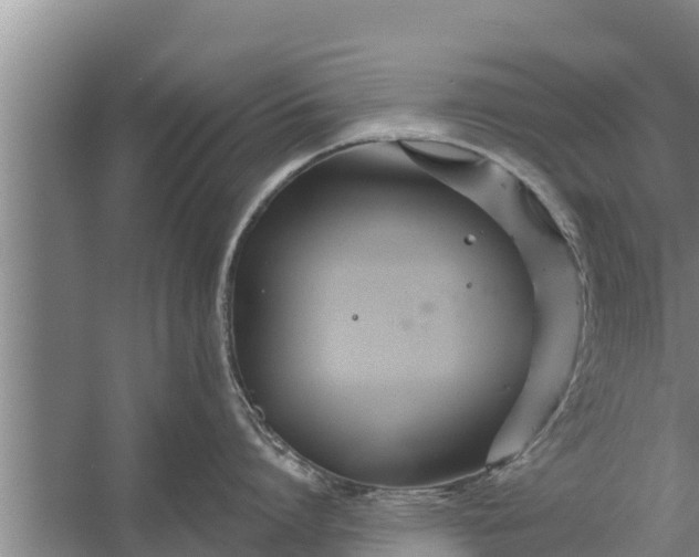 X0000058120864200510071937