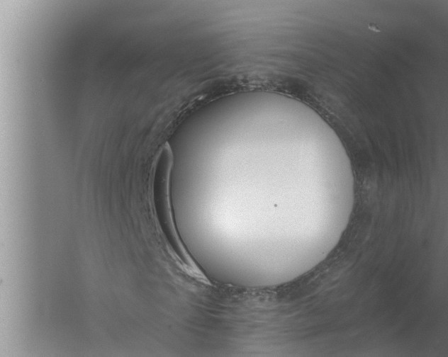 X0000058120865200510071937