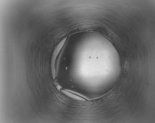 X0000058120868200510071937