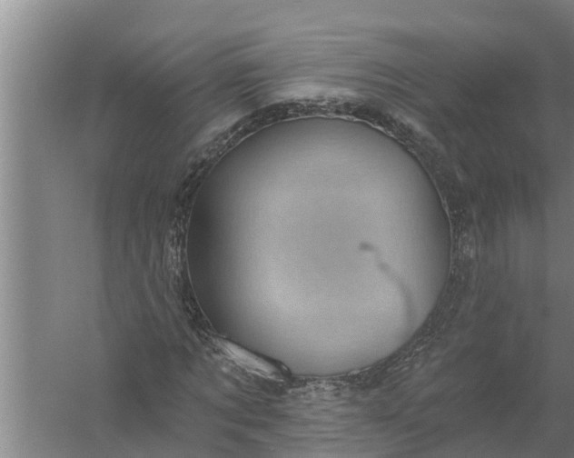 X0000058120869200510071936