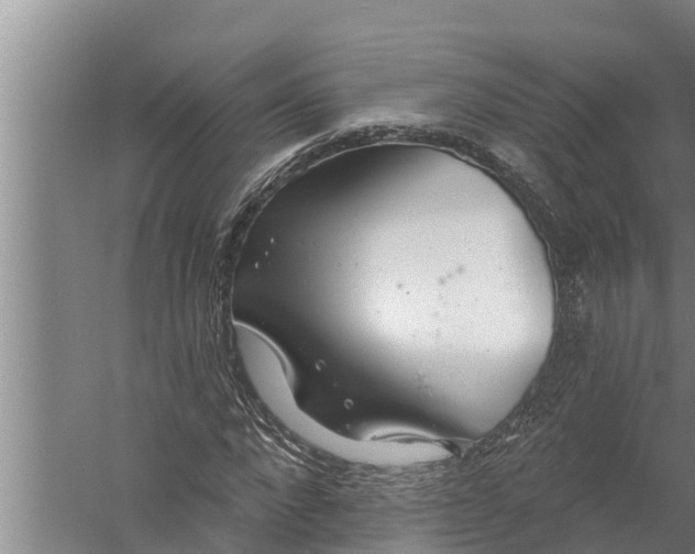 X0000058120872200510071936