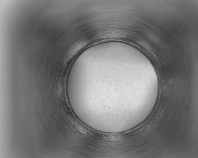 X0000058120874200510071936