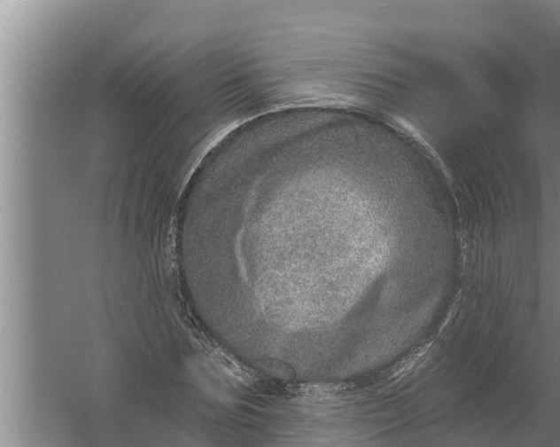 X0000058120875200510071936