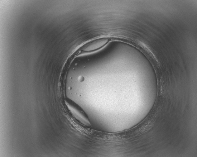 X0000058120876200510071936